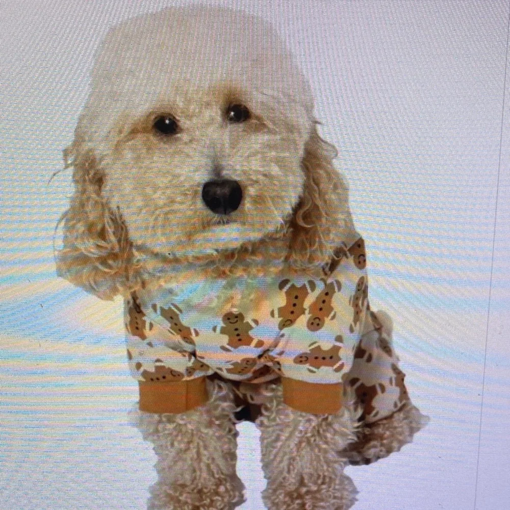 Holiday Gingerbread Print Dog Onesie - Tan
